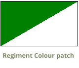 Regiment Colour patch