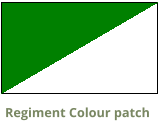 Regiment Colour patch